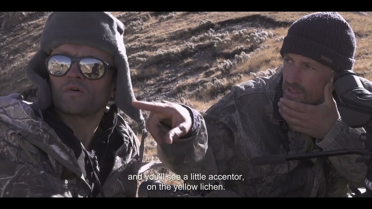 Watch film The Velvet Queen | 'The Velvet Queen' (2021) - Camoflauge - English Sub Title