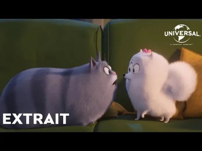 Watch film The Secret Life of Pets 2 | Comme des B&ecirc;tes 2 - Extrait : "Gidget remarque quelque chose" VOST