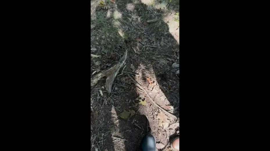 Watch film Don't Look in the Dark | Don't Look in the Dark - Trailer