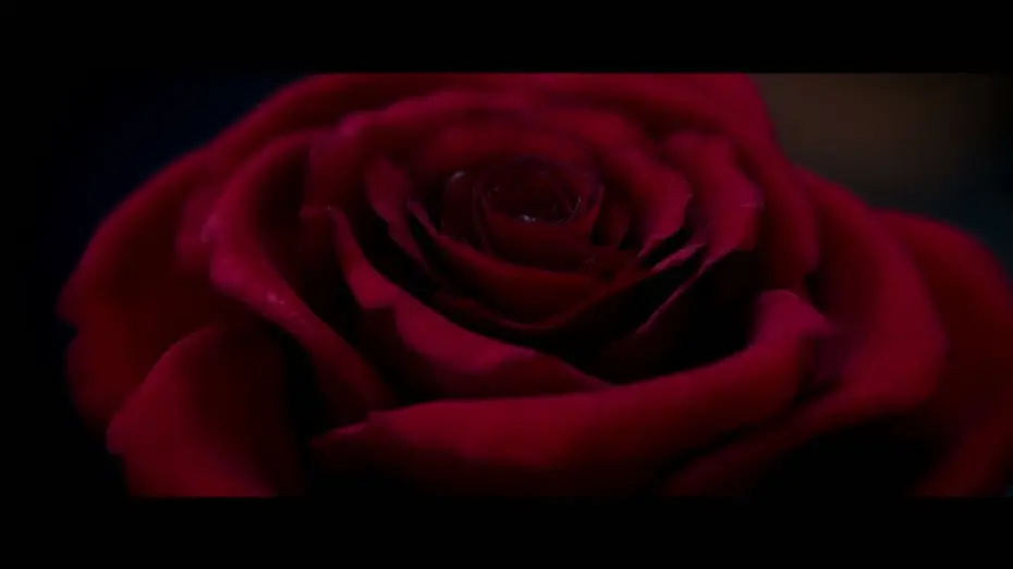 Watch film Beauty and the Beast | Bande-annonce 1 VOST