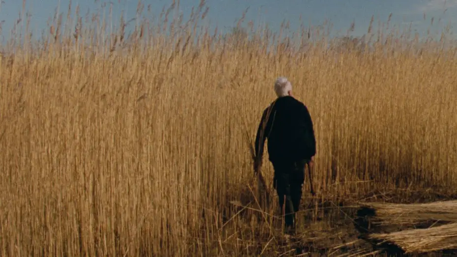 Watch film Reedland | Reedland (Rietland), un film de Sven Bresser - Trailer