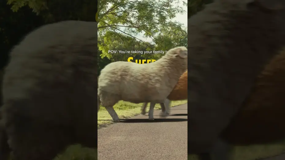 Watch film The Sheep Detectives | See if you can crack the case this weekend