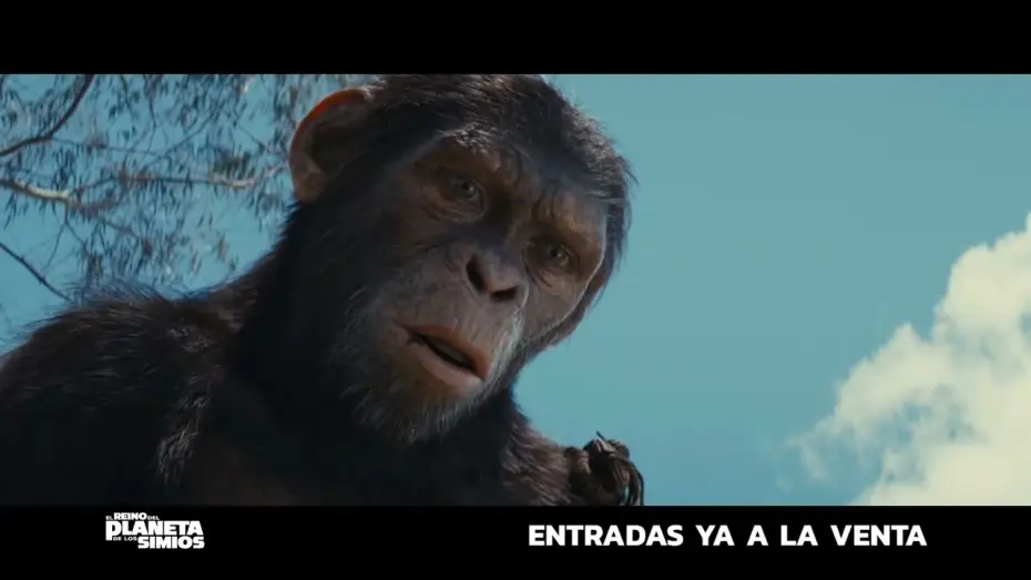 Watch film Kingdom of the Planet of the Apes | Anuncio: 'M&aacute;s inteligentes'