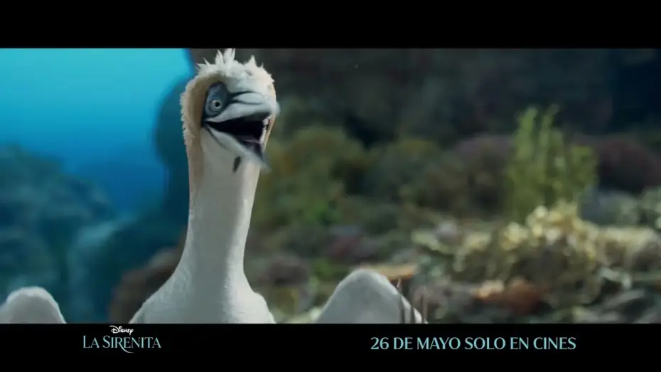 Watch film The Little Mermaid | Anuncio: '&iquest;Tienes idea de lo que es?'