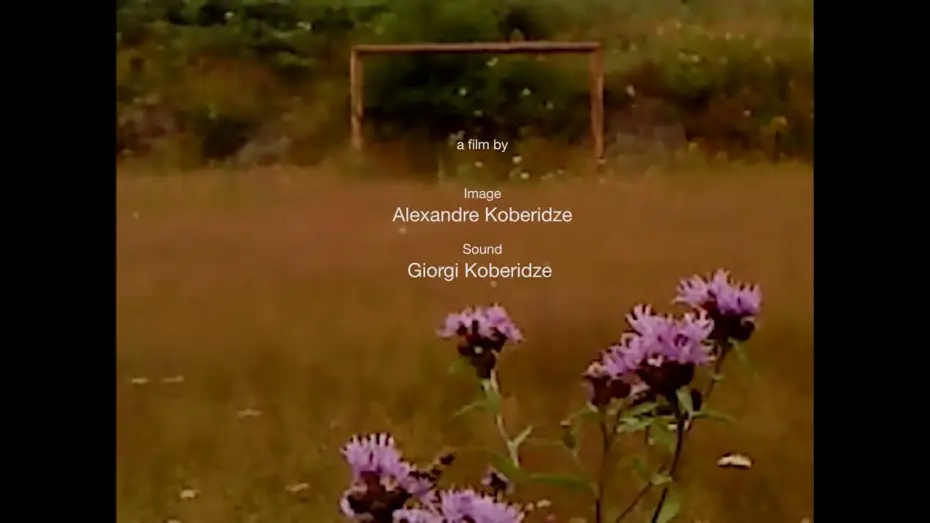 Watch film Dry Leaf | Official Teaser Trailer