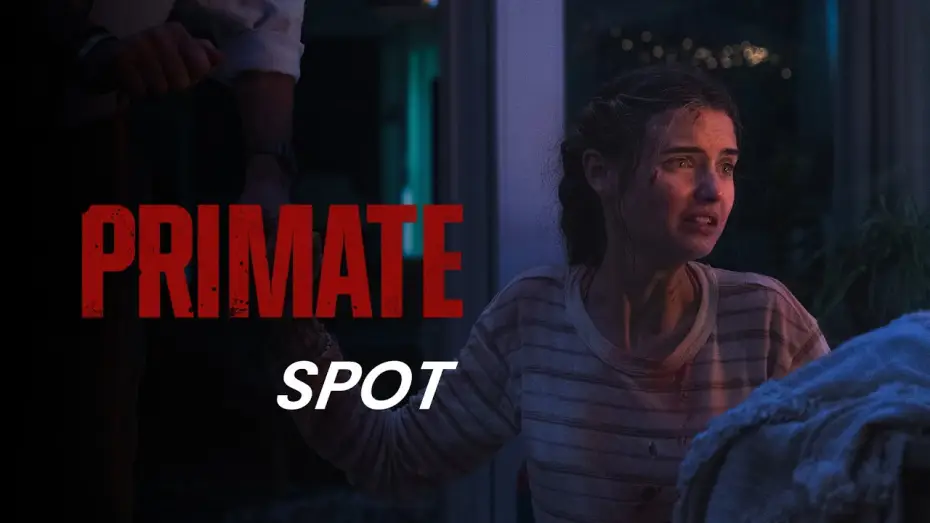 Watch film Primate | PRIMATE | Operator 30 | Kinostart: ab 29.1.