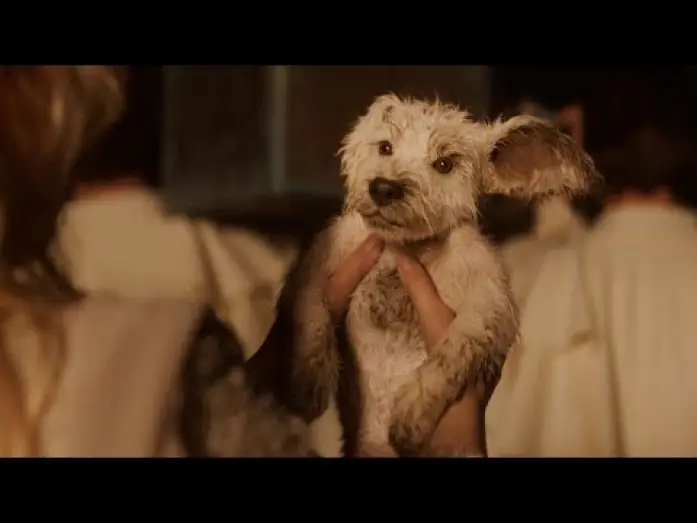 Watch film Supergirl | Home