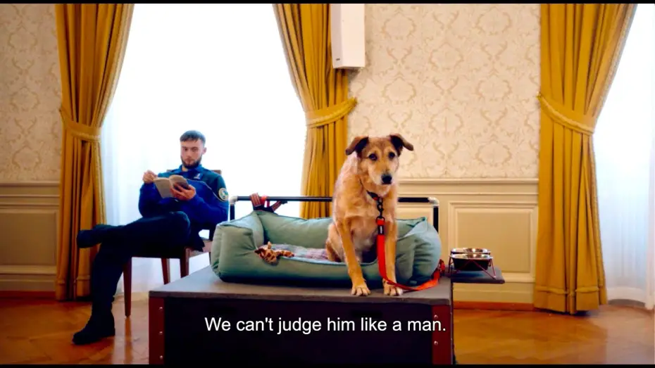 Watch film Dog on Trial | Trailer [Subtitled]