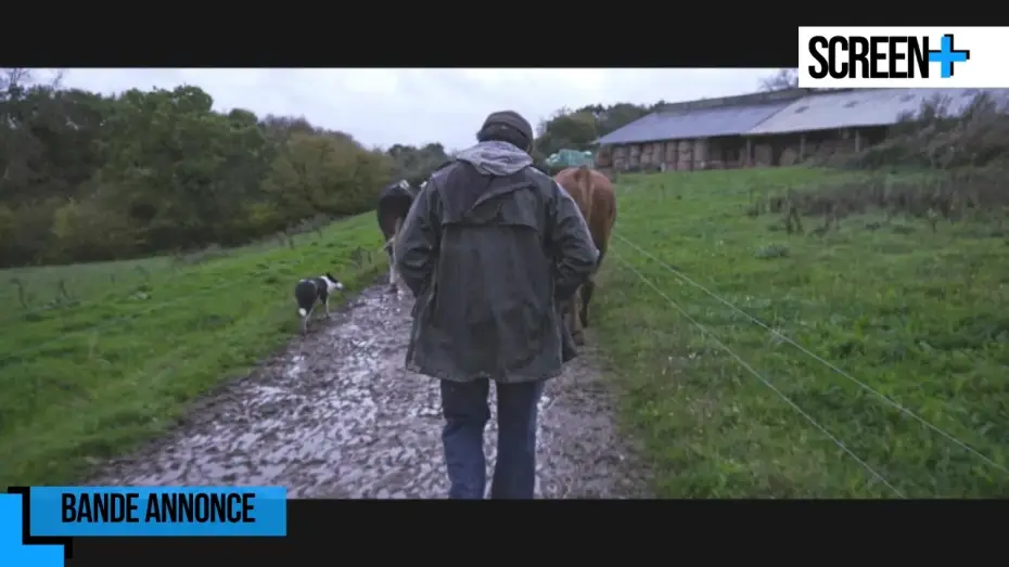 Watch film Violence dans les Champs | Violence dans les champs sur France 5