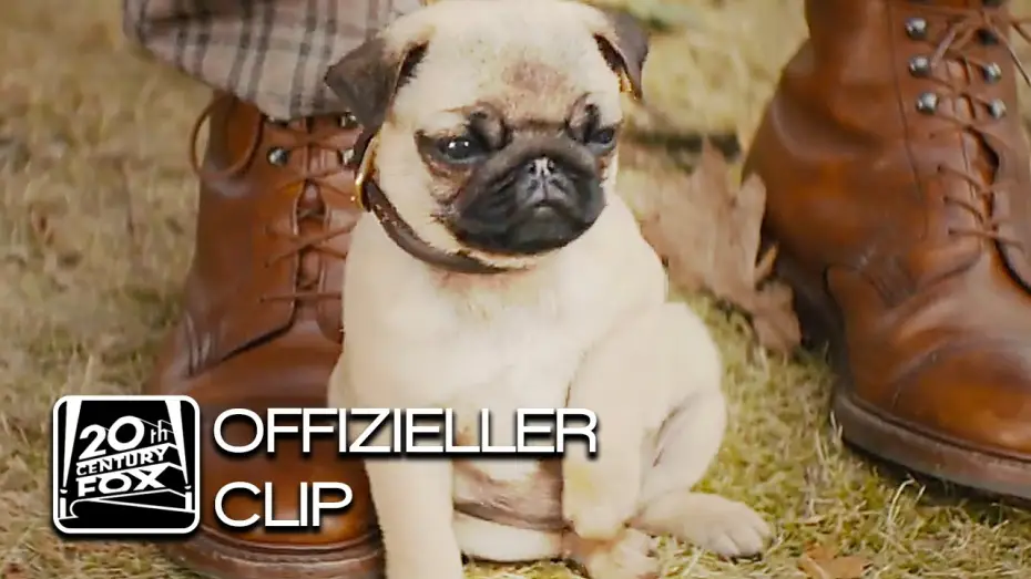 Watch film Kingsman: The Secret Service | Kingsman: The Secret Service | Ein Mops! | Clip Deutsch HD