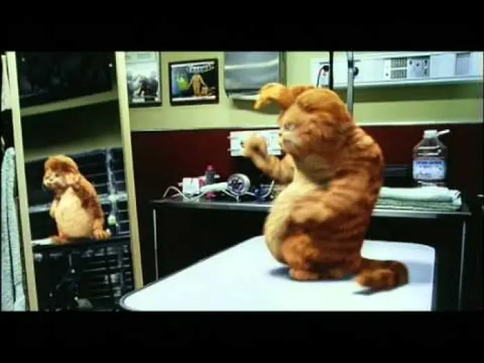 Watch film Garfield | Garfield trailer ita