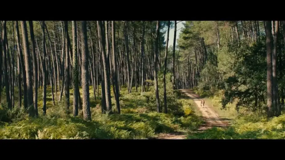 Watch film Th&eacute;r&egrave;se | Trailer TH&Eacute;R&Egrave;SE (Deutsch) mit Audrey Tautou