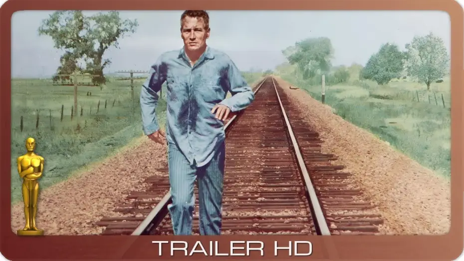 Watch film Cool Hand Luke | Der Unbeugsame ≣ 1967 ≣ TV-Trailer