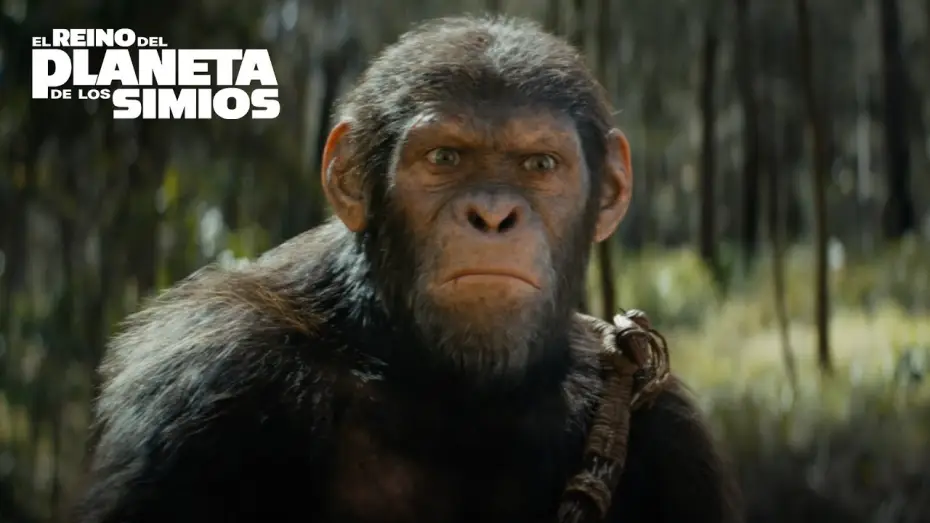 Watch film Kingdom of the Planet of the Apes | V&iacute;vela en IMAX (en espa&ntilde;ol)