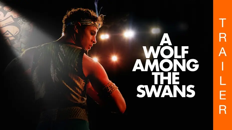 Watch film A Wolf Among the Swans | A WOLF AMONG THE SWANS von Helena Varvaki und Marcos Schechtman (Offizieller deutscher Trailer)