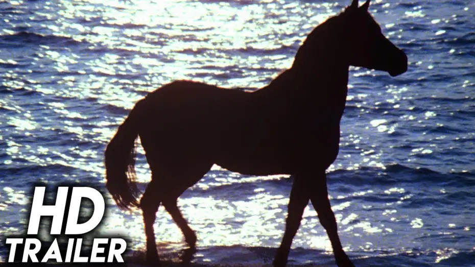 Watch film The Black Stallion | The Black Stallion (1979) ORIGINAL TRAILER [HD 1080p]