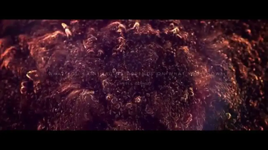 Watch film Sundays | Sundays Teaser #2