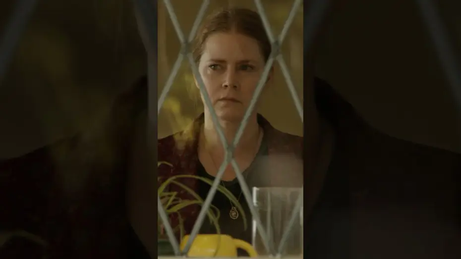 Watch film Nightbitch | The Concept of Motherhood