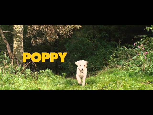 Watch film Sightseers | Official Theatrical trailer