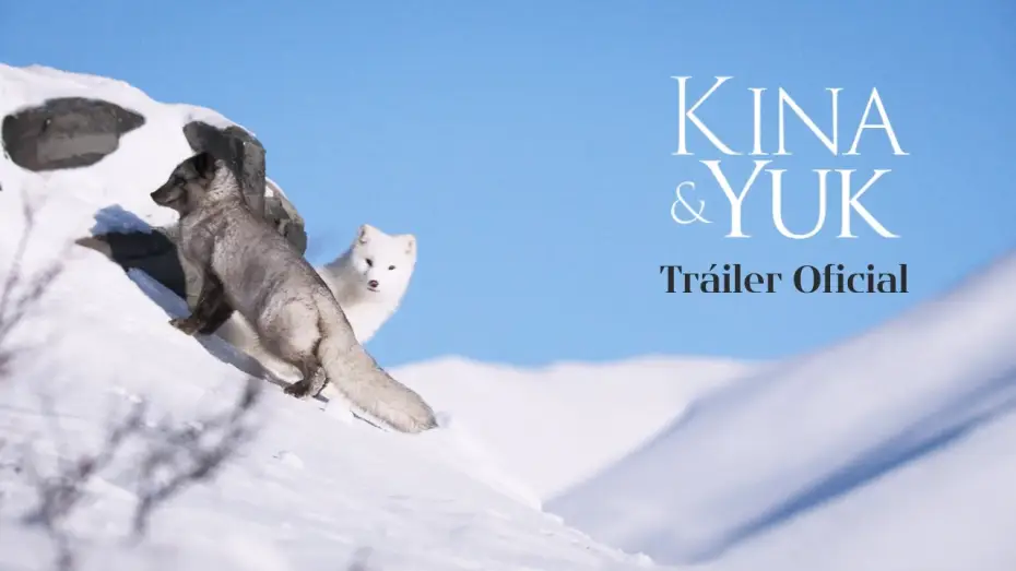 Watch film Kina & Yuk : renards de la banquise | Tr&aacute;iler Oficial