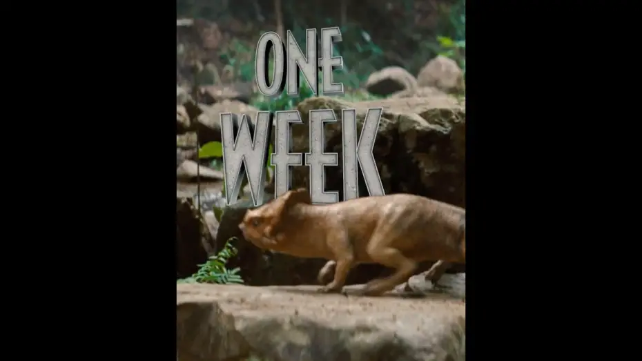 Watch film Untitled Jurassic World Movie | You ready? Jurassic World Rebirth hits theaters in ONE WEEK. Get your tickets now!