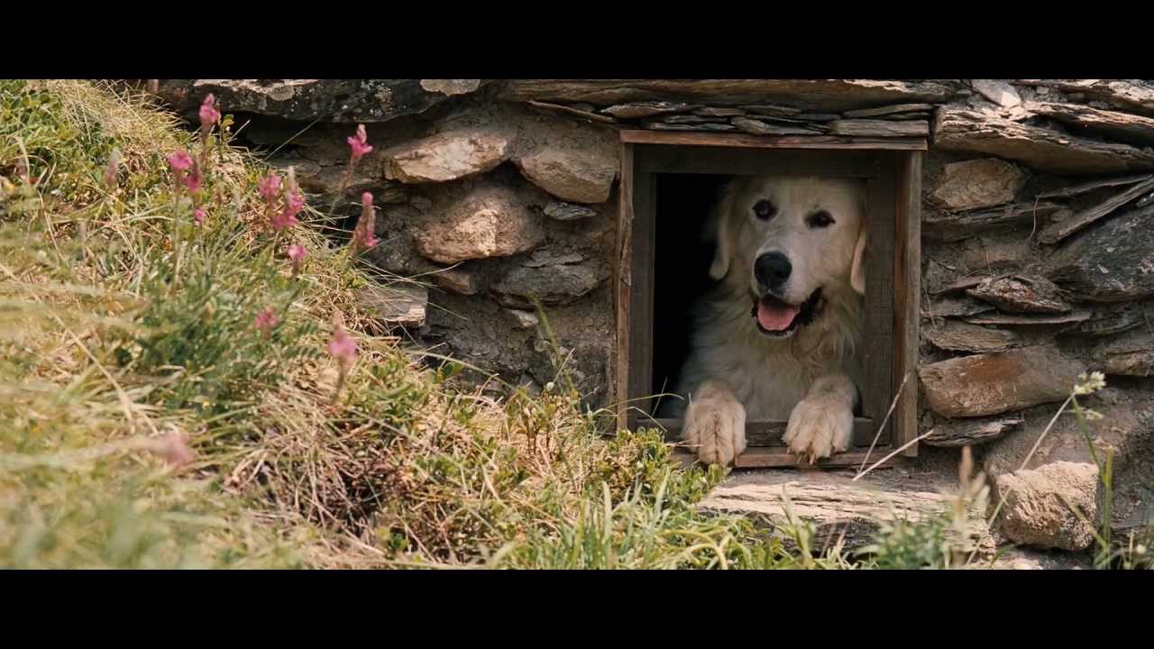 Watch film Belle and Sebastian | Belle and S&eacute;bastien (2013) - Trailer English Subs