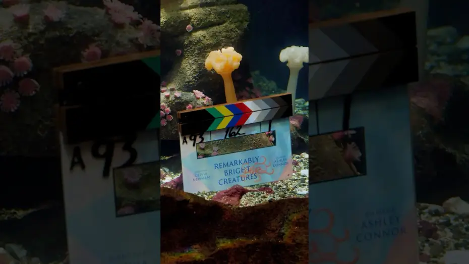 Watch film Remarkably Bright Creatures | that's a wrap on Remarkably Bright Creatures