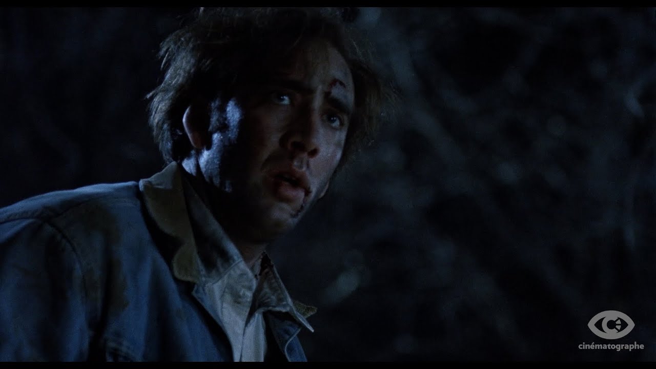 Watch film Red Rock West | Cin&eacute;matographe Blu-ray Promo Trailer