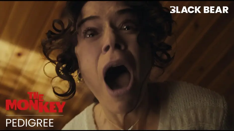 Watch film The Monkey | Pedigree