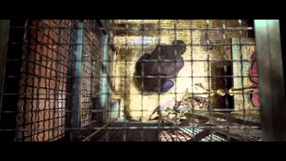 Watch film Rise of the Planet of the Apes | L'alba del pianeta delle Scimmie Trailer Launch