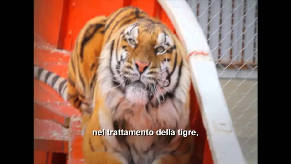 Watch film Life of Pi | Vita di Pi - Intervista Ang Lee
