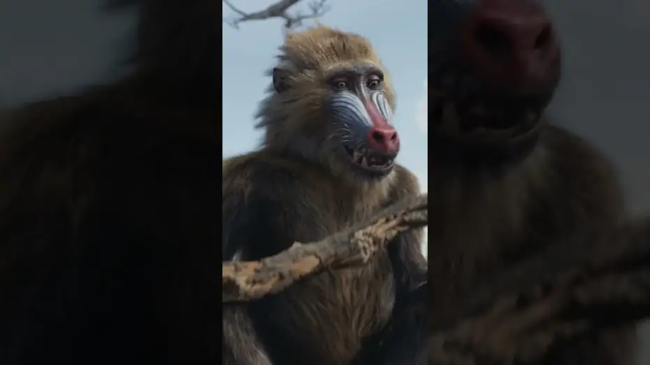 Watch film Mufasa: The Lion King | Be the First to Watch at Home Today. Buy It Now Only On Digital