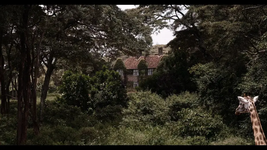 Watch film sr | sr - Offizieller Trailer