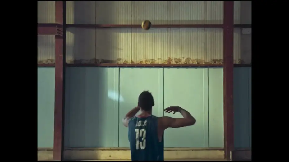 Watch film A Bird Flew | Un p&aacute;jaro vol&oacute; (A Bird Flew) by Leinad P&aacute;jaro De la Hoz - Official Trailer