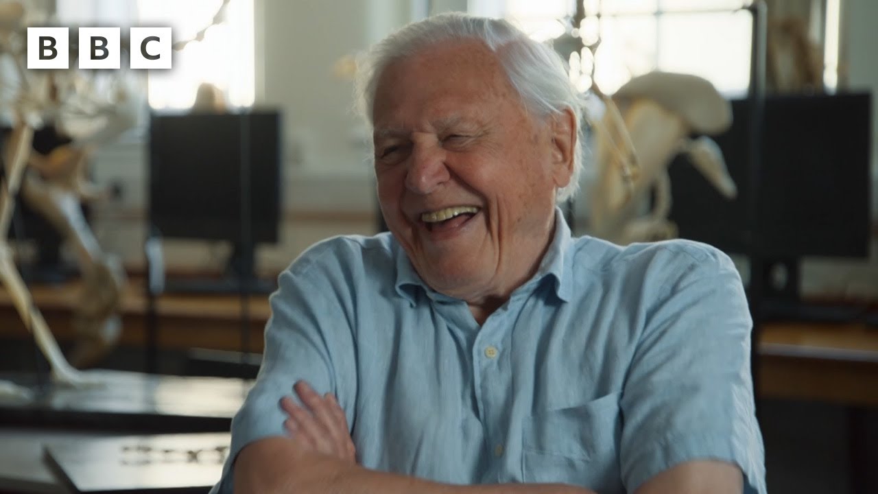 Watch film Attenborough and the Giant Sea Monster | T-rex vs pliosaur