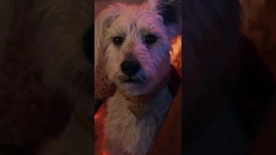 Watch film Supergirl | You had me at woof.