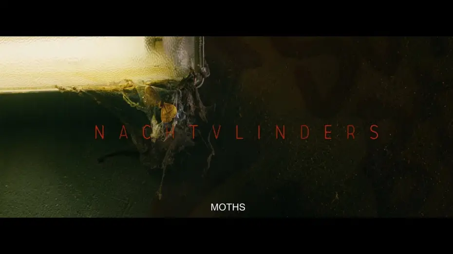 Watch film Night Creatures | Night Creatures - Trailer