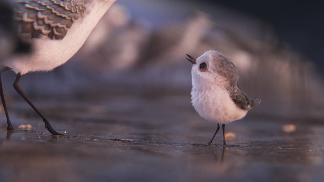 Watch film Piper | Piper - Trailer