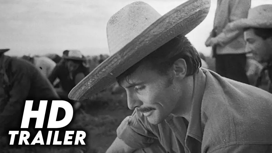 Watch film Border Incident | Border Incident (1949) Original Trailer [HD]