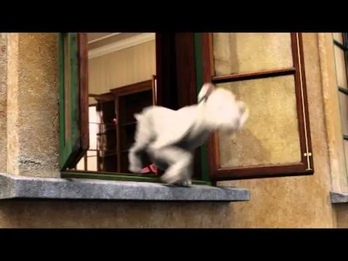 Watch film The Adventures of Tintin | Les aventures de Tintin : Le secret de la Licorne - Extrait "Snowy to the rescue" VF