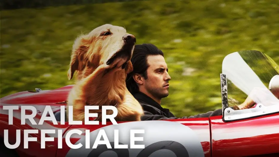 Watch film The Art of Racing in the Rain | Attraverso i miei occhi | Trailer Ufficiale HD | 20th Century Fox 2019