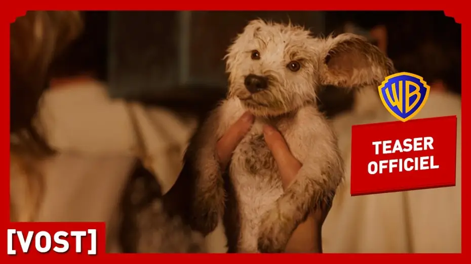 Watch film Supergirl | Supergirl | Teaser Krypto (VOST) | Milly Alcock, Jason Momoa