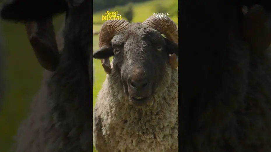 Watch film The Sheep Detectives | Sheep TV Spot