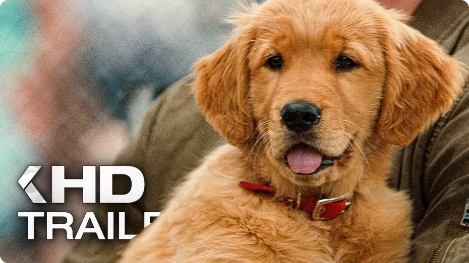 Watch film The Art of Racing in the Rain | ENZO UND DIE WUNDERSAME WELT DER MENSCHEN Trailer German Deutsch (2019)