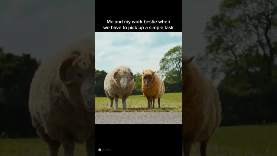 Watch film The Sheep Detectives | Work Besties