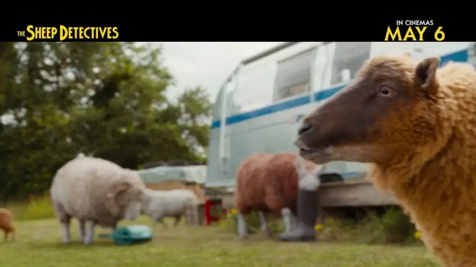 Watch film The Sheep Detectives | In Cinemas May 6