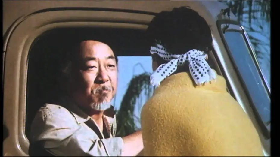 Watch film The Karate Kid | Karate Kid - Per vincere domani in DVD e BLU-RAY - Trailer cinematografico