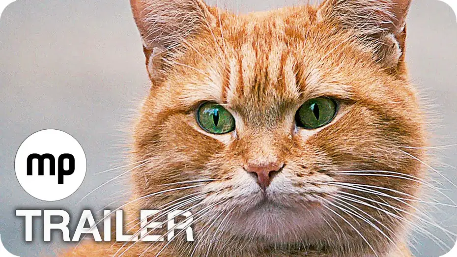 Watch film A Street Cat Named Bob | BOB DER STREUNER Trailer German Deutsch (2017)