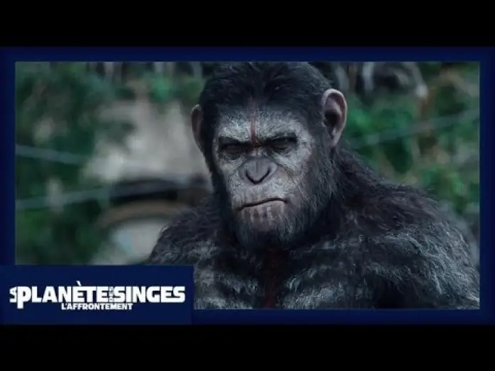 Watch film Dawn of the Planet of the Apes | La Plan&egrave;te des Singes : L'Affrontement - Extrait Les singes ne veulent pas la guerre [Officiel] VF
