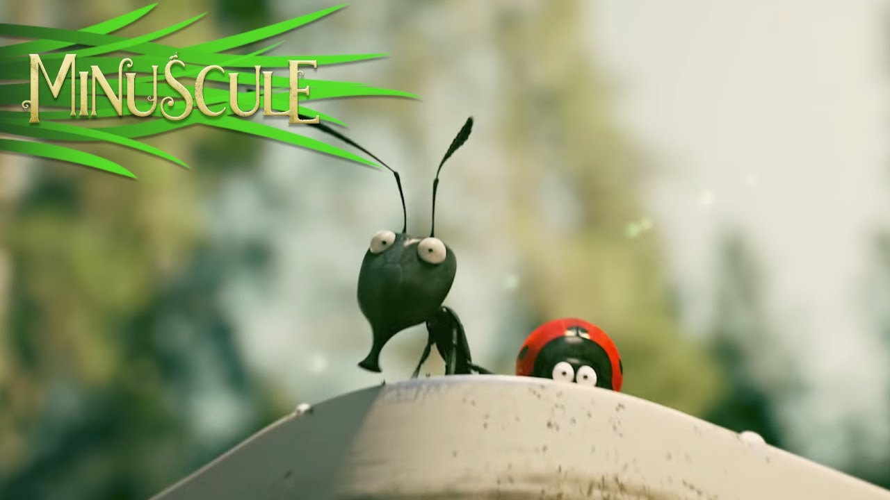 Watch film Minuscule: Valley of the Lost Ants | Minuscule Valley of the Lost Ants - Official Trailer